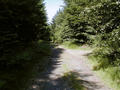 #3: A small path leading near the confluence point