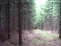 #4: West