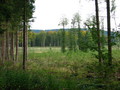 #8: View in direction SE towards the Confluence from 600 m distance