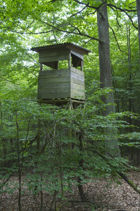 A hunting blind, seen near the confluence point.