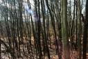 #7: View from the confluence / Aussicht vom Confluence Punkt