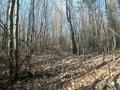 #2: View from the confluence to the north / Blick vom Confluence Punkt nach Norden