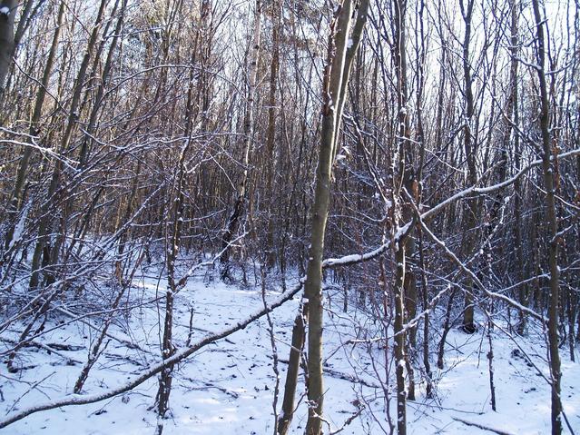 East
