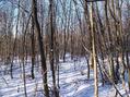 #5: West