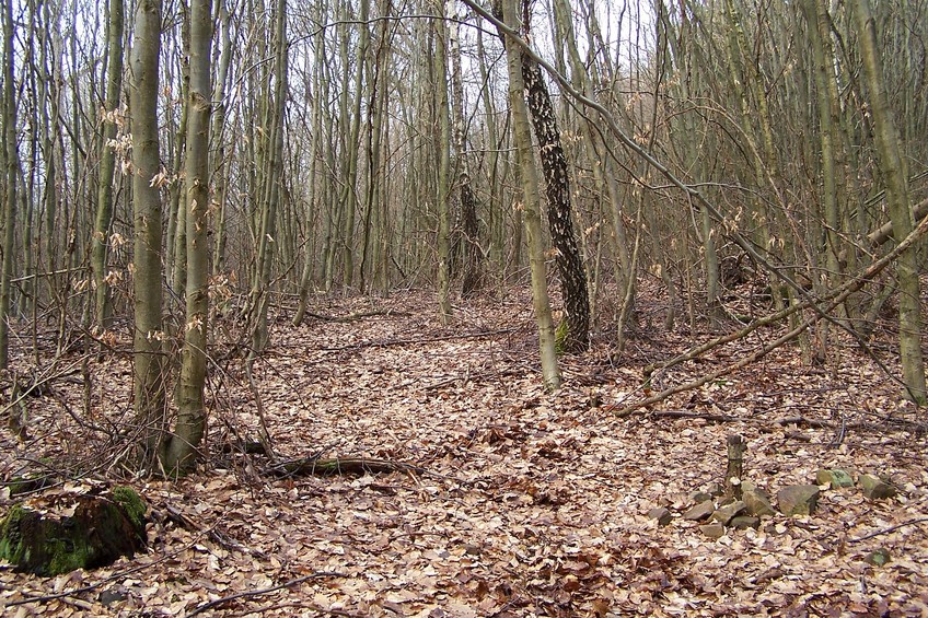 General view of the confluence (towards N)