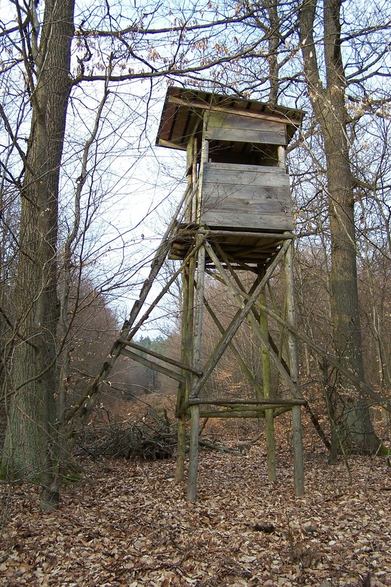 Nearby shooting platform