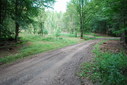 #6: Logger track