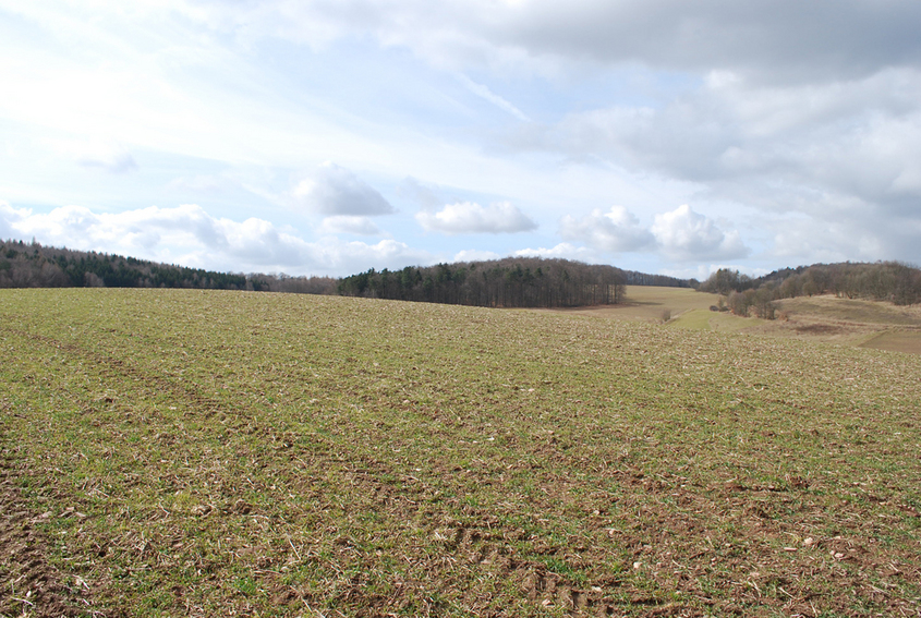 view to west