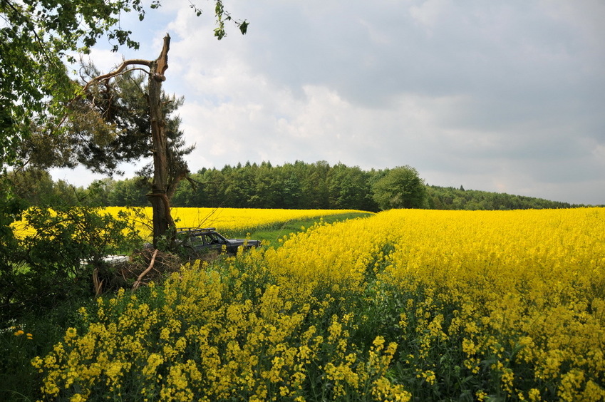 View west / Blick nach Westen