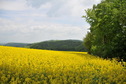 #4: View south / Blick nach Süden