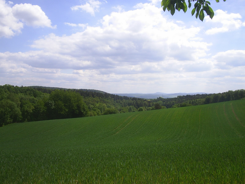 Landscape south of the confluence