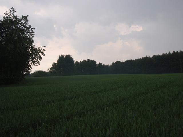 Süden - South