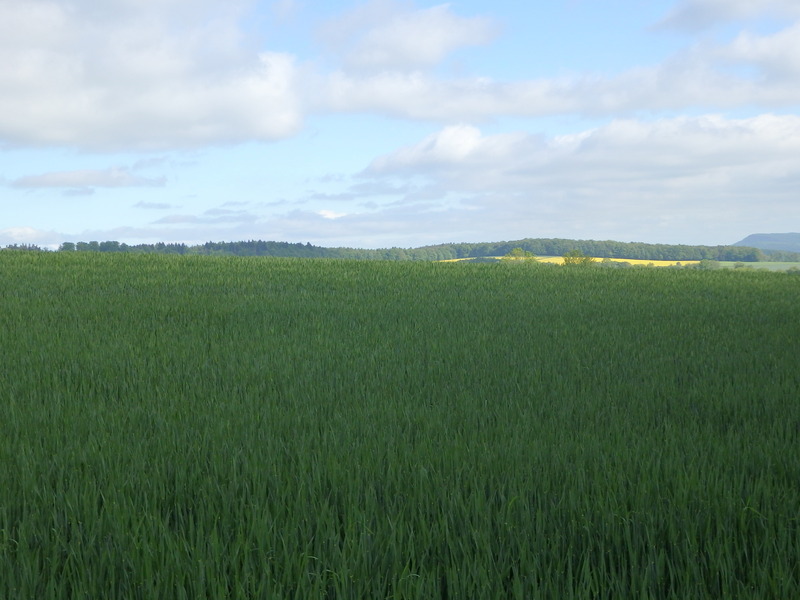 View to the North