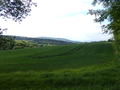 #4: View to the South