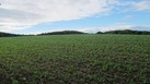 #2: North