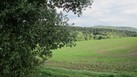 #4: South