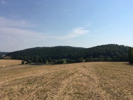 #2: East