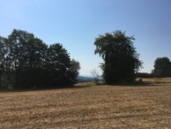 #3: South