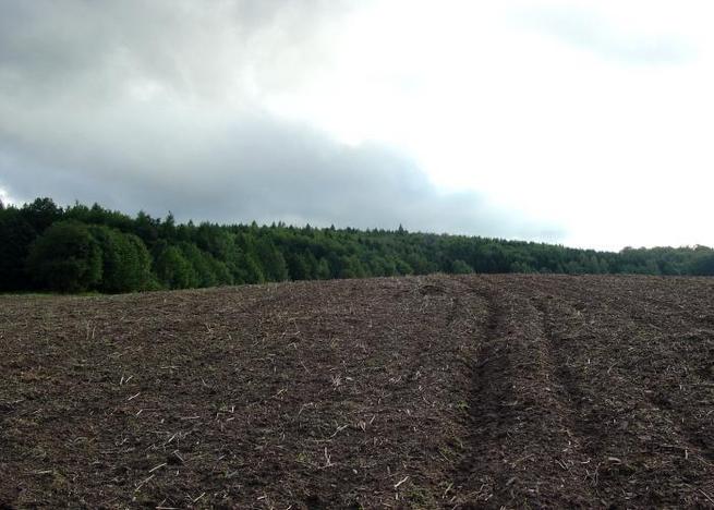 View West / Sicht nach Westen