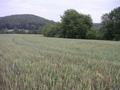 #2: East