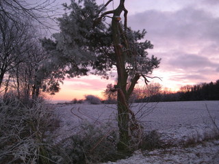 #1: sunset near confluence
