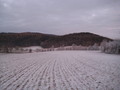 #4: eastern view
