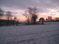 #5: southern view