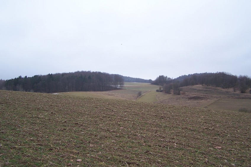 View towards W from the confluence