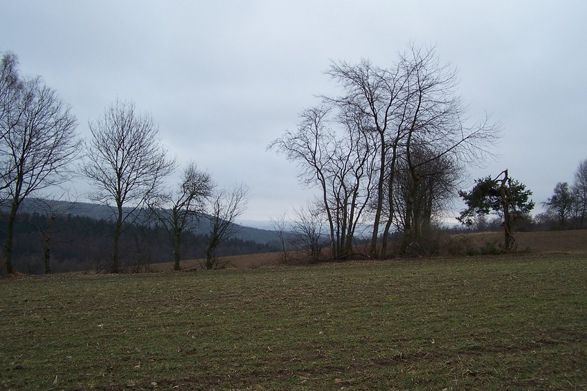 View towards S from the confluence