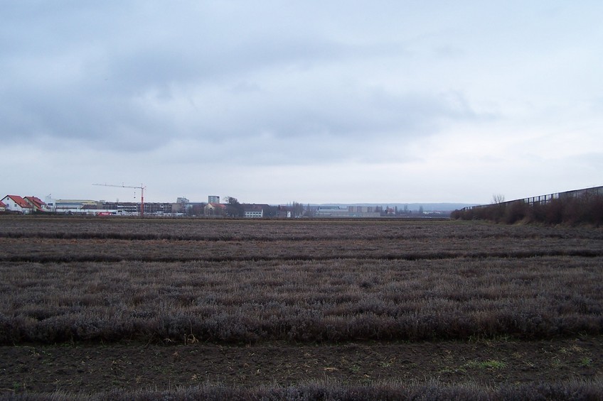 View towards S from the confluence