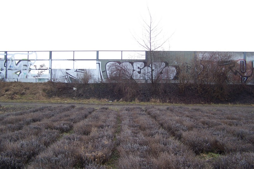 View towards W from the confluence