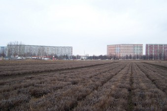 #1: General view of the confluence (towards NE)