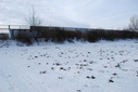 #5: View to West