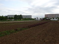 #3: View to the East