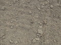 #7: Ground Zero