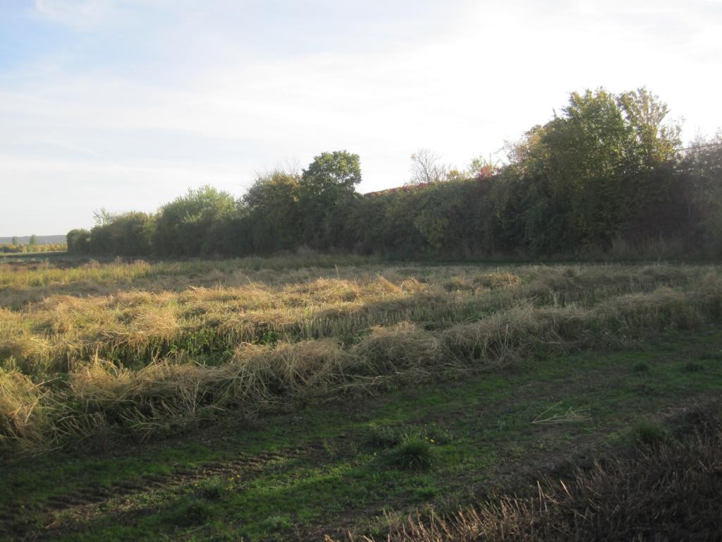 Süden; view south