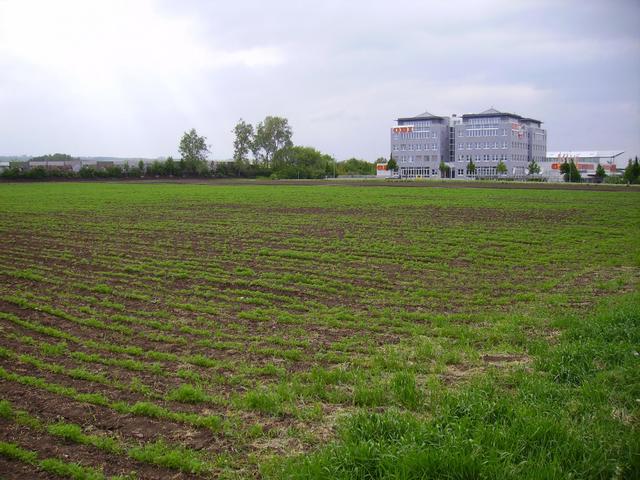 Der confluence / The confluence