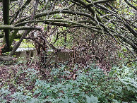 #4: Westen; view west