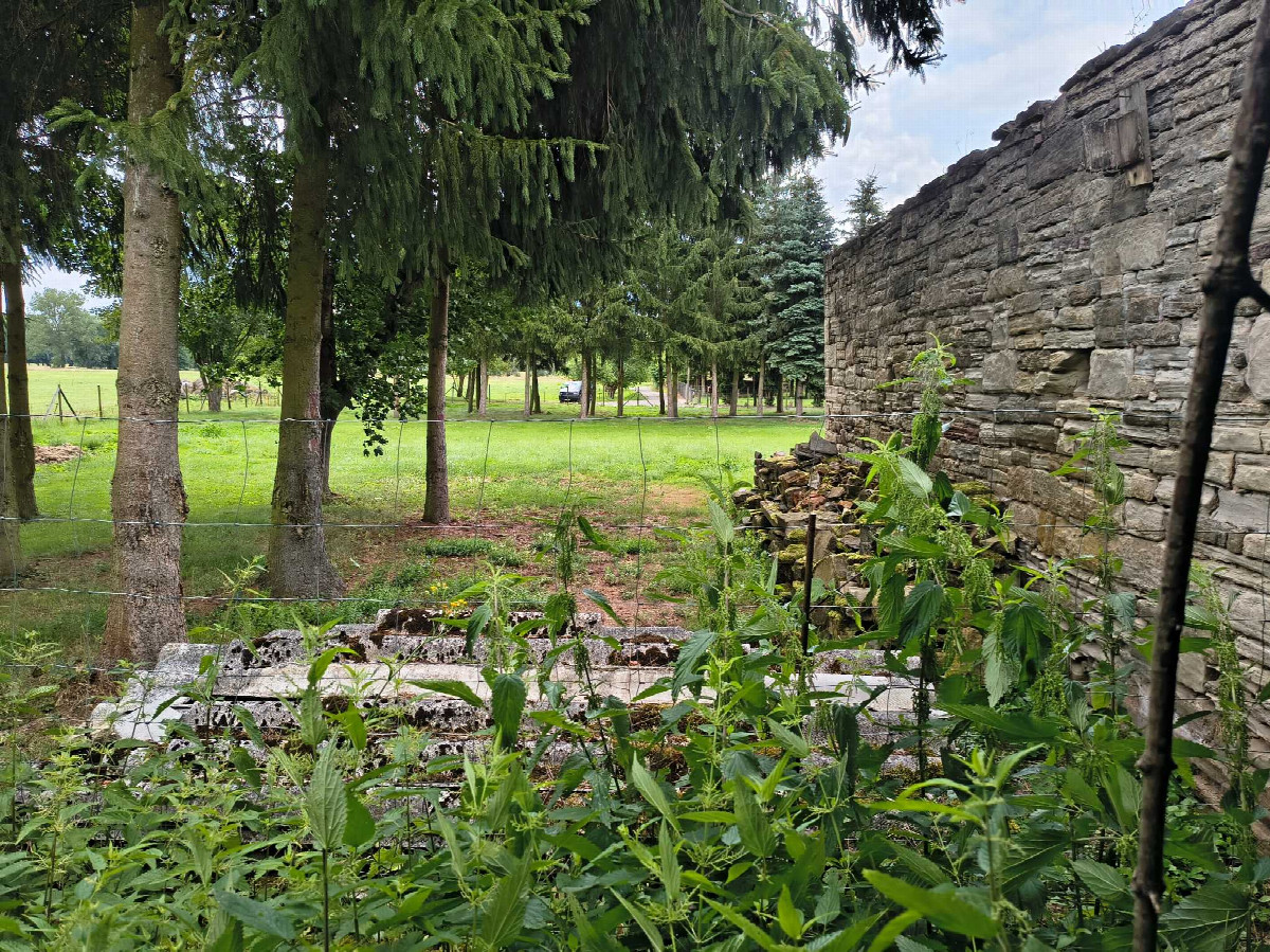 wall