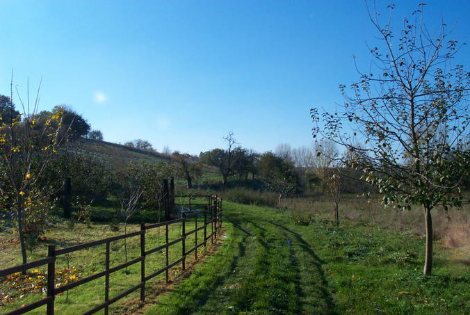 The way to the confluence / Der Weg zum Confluecne-Punkt