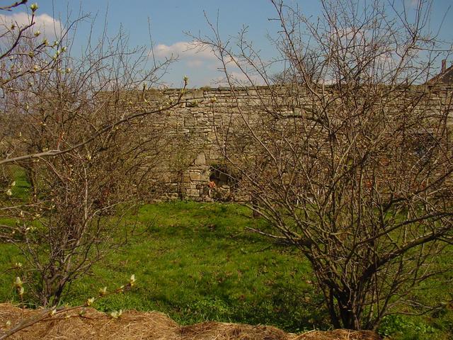 fenced garden with confluence 51°N 12°E in front of the stone wall