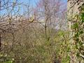 #2: view north