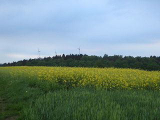 #1: The Confluence from 20 m distance