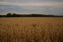 #3: View South