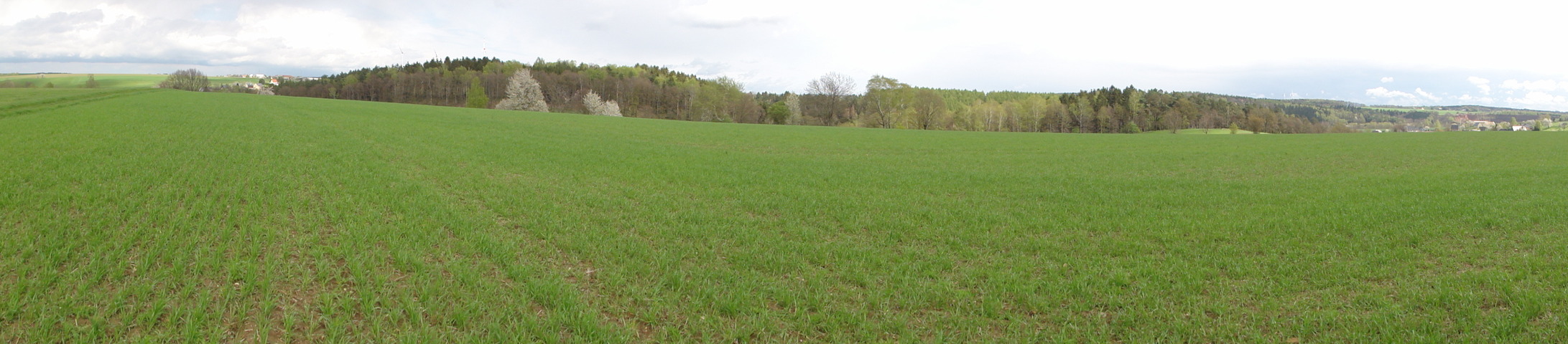 NES Panoramic view from the point