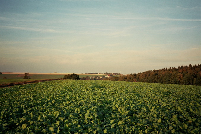 General view of the confluence (towards N)