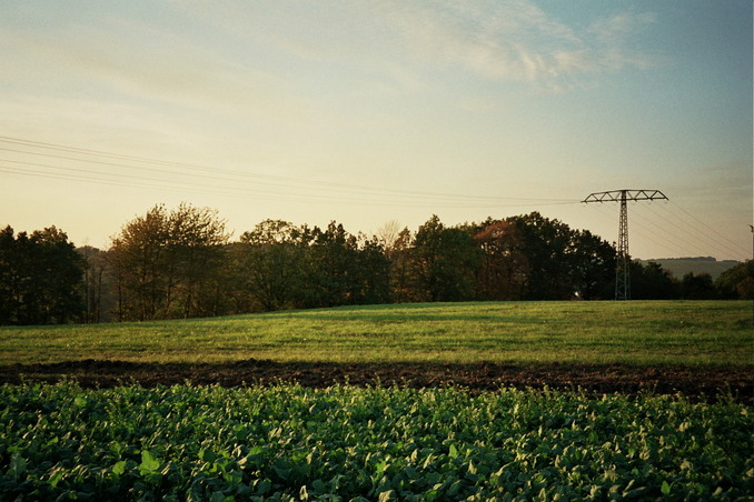 View towards W from the confluence