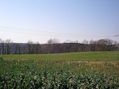 #4: West