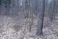 Visit #10: [29-Mar-09]