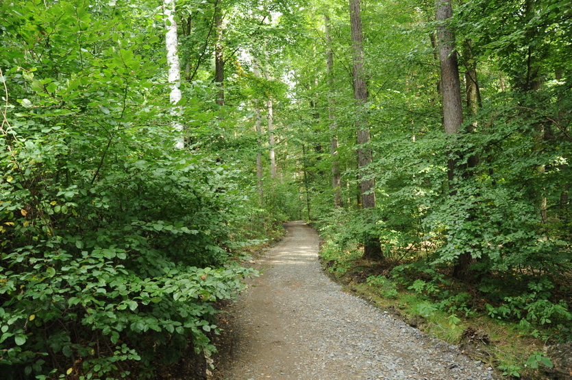 The confleunce area with a hiking trail leading to the CP